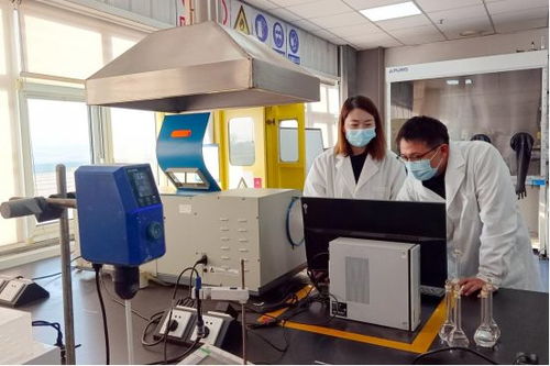 摘冠产业新赛道 信息技术咨询服务如何书写动力电池回收的绿色答卷