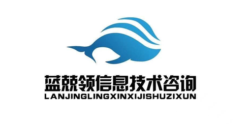 蓝兢领 信息技术咨询服务的领航者